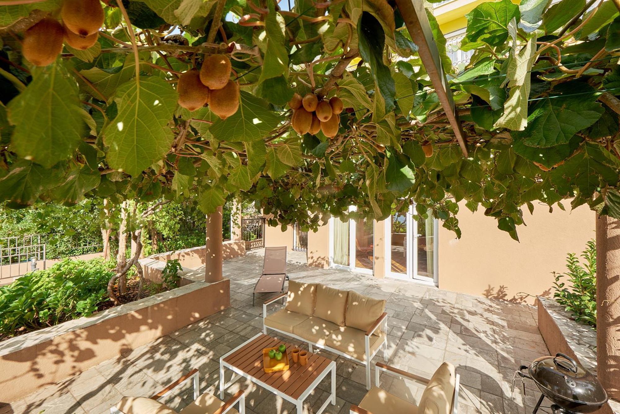 2Montenegro Mimoza Apartments Dobrota Luaran gambar